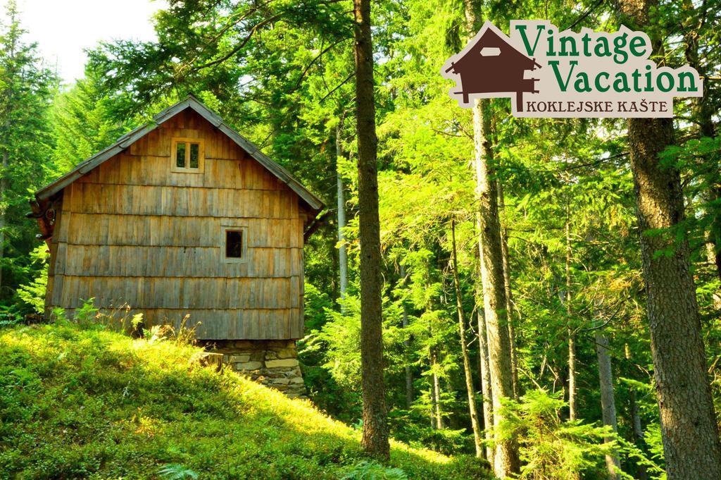 Domacija Koklej - Apartments Vintage Vacation Luče 외부 사진