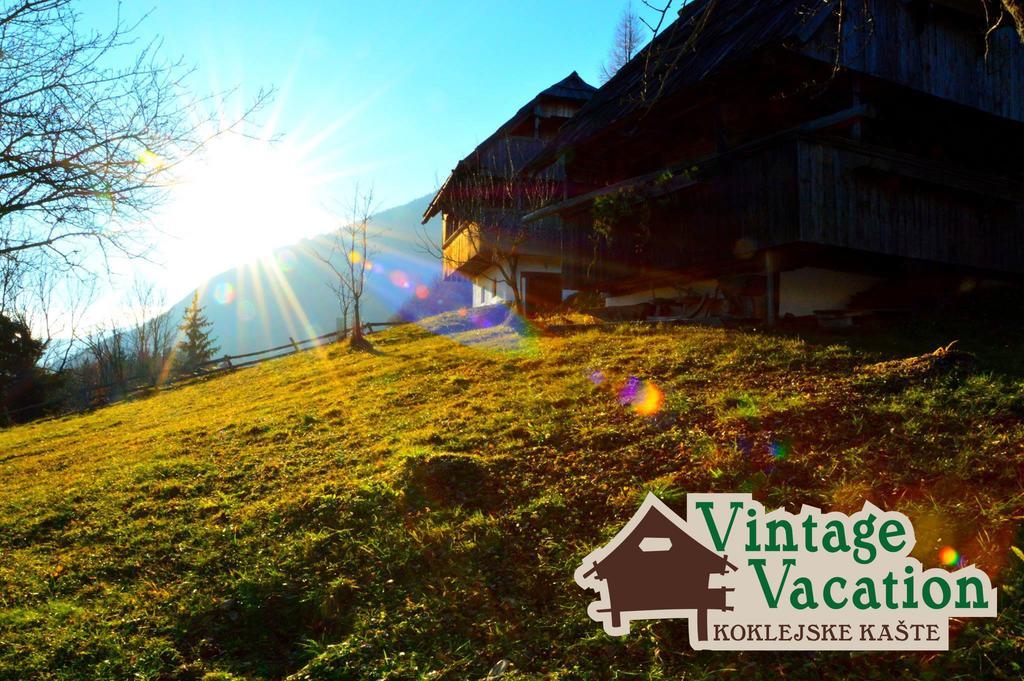 Domacija Koklej - Apartments Vintage Vacation Luče 외부 사진