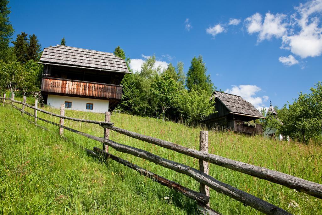 Domacija Koklej - Apartments Vintage Vacation Luče 외부 사진