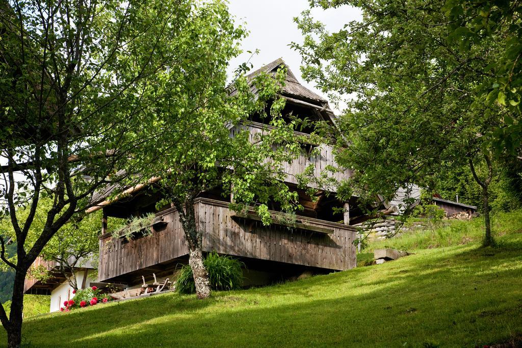 Domacija Koklej - Apartments Vintage Vacation Luče 외부 사진