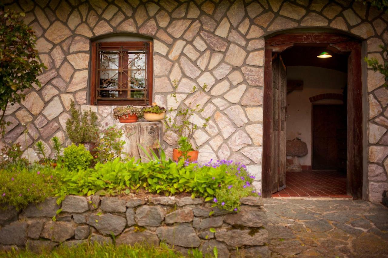 Domacija Koklej - Apartments Vintage Vacation Luče 외부 사진