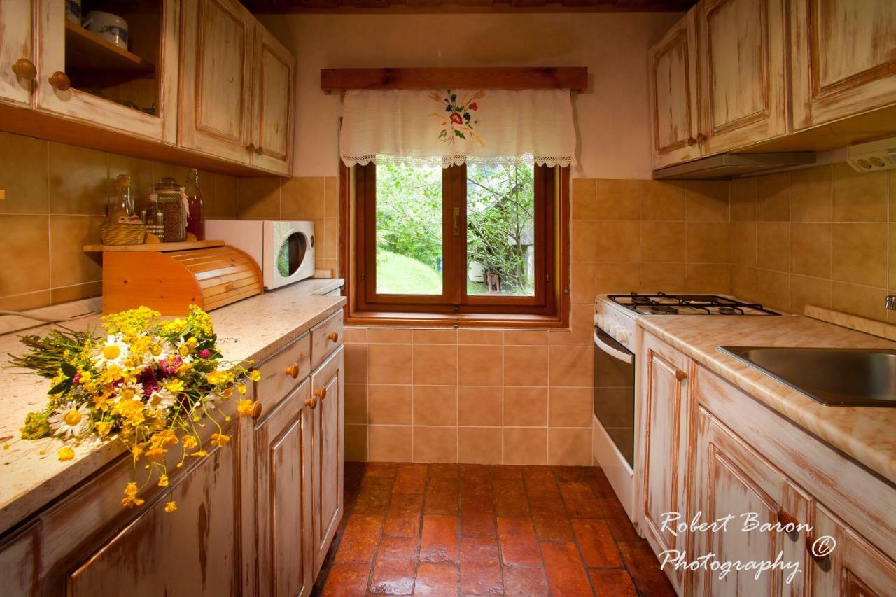 Domacija Koklej - Apartments Vintage Vacation Luče 외부 사진
